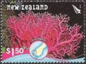 Red Coral (Errina novaezelandiae), Fiordland