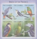 Birds of the Tropics