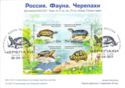 Russian Fauna - Turtles