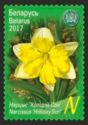 Daffodil 'Holiday Sun'