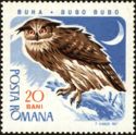 Eurasian Eagle-Owl (Bubo bubo)