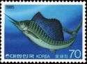 Indo-pacific Sailfish (Istiophorus platypterus)