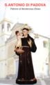 "Anthony of Padua", Monterosso Etneo, Aci Sant'Antonio, Sicily - Saints (M)