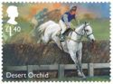 Desert Orchid