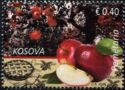 Fruit cultivation in Kosovo - Apples