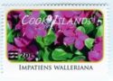 Impatiens walleriana