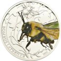 2 Dollars (Bumble Bee)
