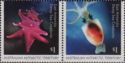 East Antarctic Deep Sea Creatures ($1 pair)