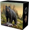 20 Dollars (Majestic Animals: The Bold Black Bear)