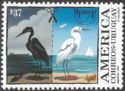 Oil pollution - birds, Snowy Egret (Egretta thula)