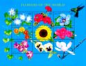 Flowers of the World