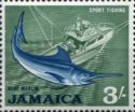 Blue Marlin (Makaira ampla)