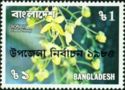Sonali (Cassia fistula)