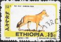 Ethiopian Wolf (Canis simensis)
