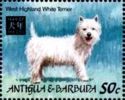 West Highland White Terrier