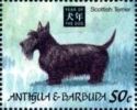 Scottish Terrier