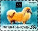 Pekingese