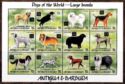 Dogs of the World - Large Breeds