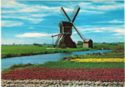 Holland, land of flowers and windmills