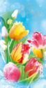 Happy Birthday! Bouquet of five different colored tulips