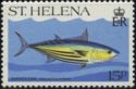 Skipjack tuna
