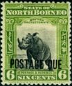 Sumatran Rhinoceros - overprinted