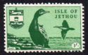 Birds of Jethou - Shag