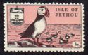 Birds of Jethou - Puffin