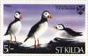 Puffins - National Trust for Scotland