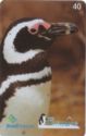 Patagônia - Pinguim - 0977 - N 20*