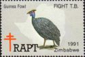 Zimbabwe - Diverse and Enchanting; Guinea Fowl