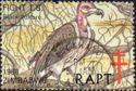 Some Endangered Species of Zimbabwe; - Black Vulture