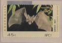Counter Printed - Ghost Bat (Macroderma gigas)