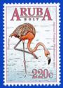 American Flamingo (Phoenicopterus ruber)