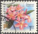 Frangipani (Plumeria rubra) 2007C Imprint
