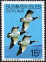 Birds of the North West - Barnacle Geese