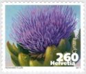 Artichoke (Cynara scolymus)