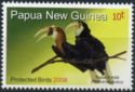 Papuan Hornbill (Rhyticeros plicatus)