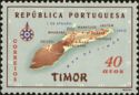 Timor Map