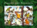 Parrots and Parakeets
