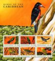 Birds of the Caribbean