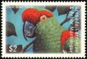Thick-billed Parrot (Rhynchopsitta pachyrhyncha)