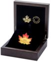 200 Dollars (Autumn Fire Maple Leaf)