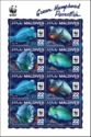 WWF - Green Humphead Parrotfish (Bolbometopon muricatum)