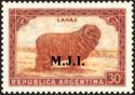 Merino Sheep (Ovis aries), ovpt. "M.J.I."