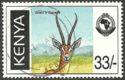 Grant's Gazelle (Nanger granti)