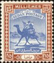 Postman with Dromedary (Camelus dromedarius)