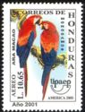 Scarlet Macaw (Ara macao)