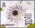 Raymond Evison - 25 years of Gold