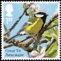 Great Tit (Parus major)